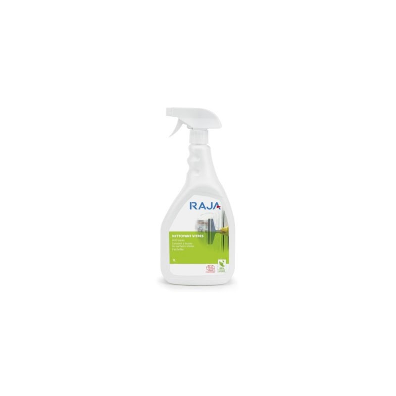 Nettoyant vitres RAJA spray 1 l - Lot de 3