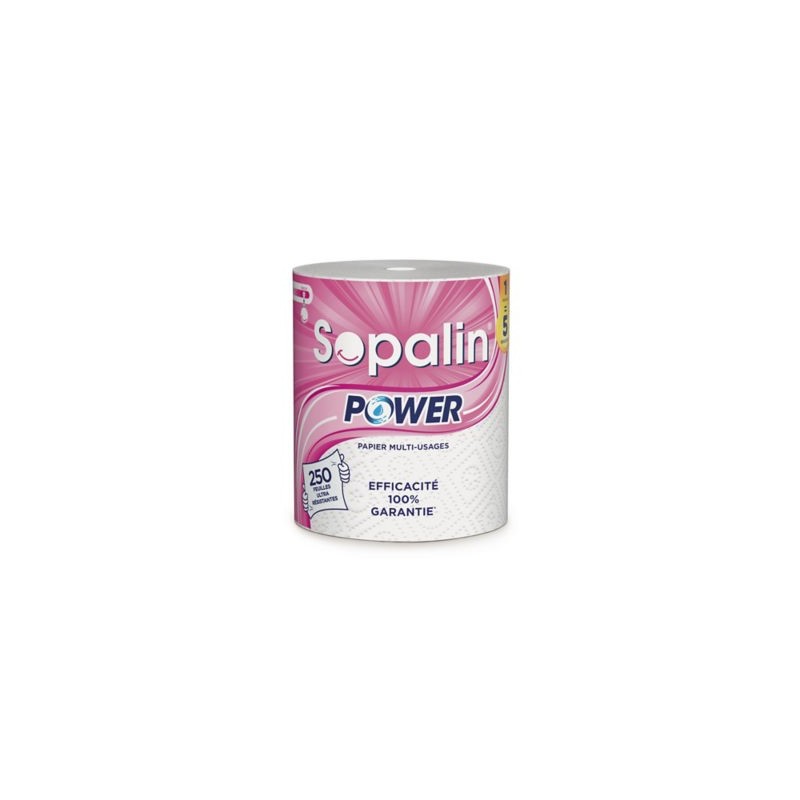 Essuie-tout Power SOPALIN