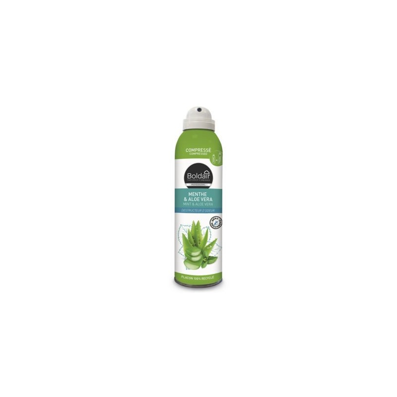 Désodorisant compressé BOLDAIR menthe - Lot de 3