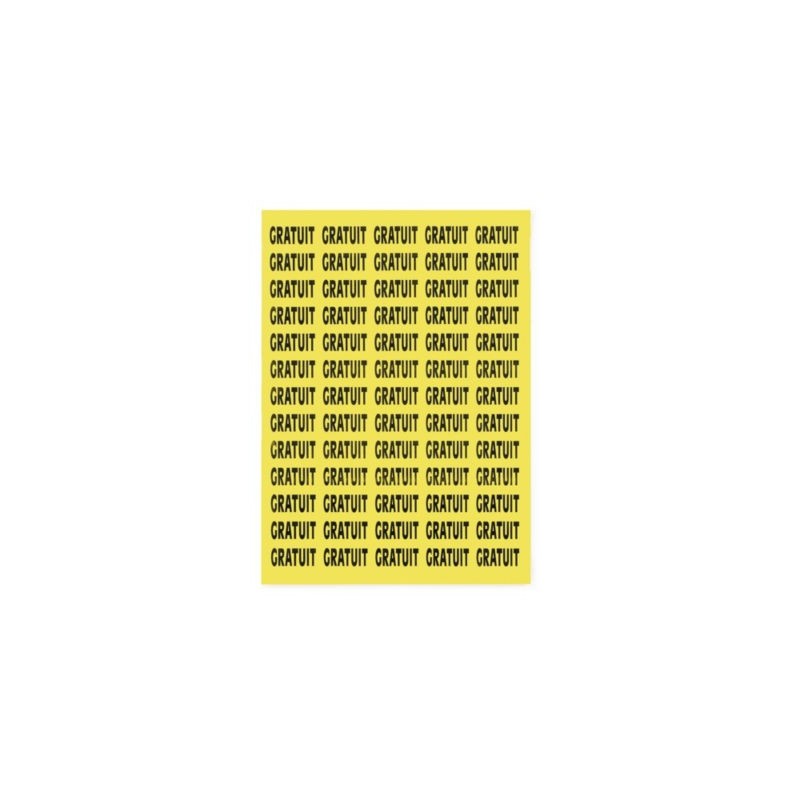 Étiquette adhésive permanente 38,1x21,2 mm - Paquet de 6500