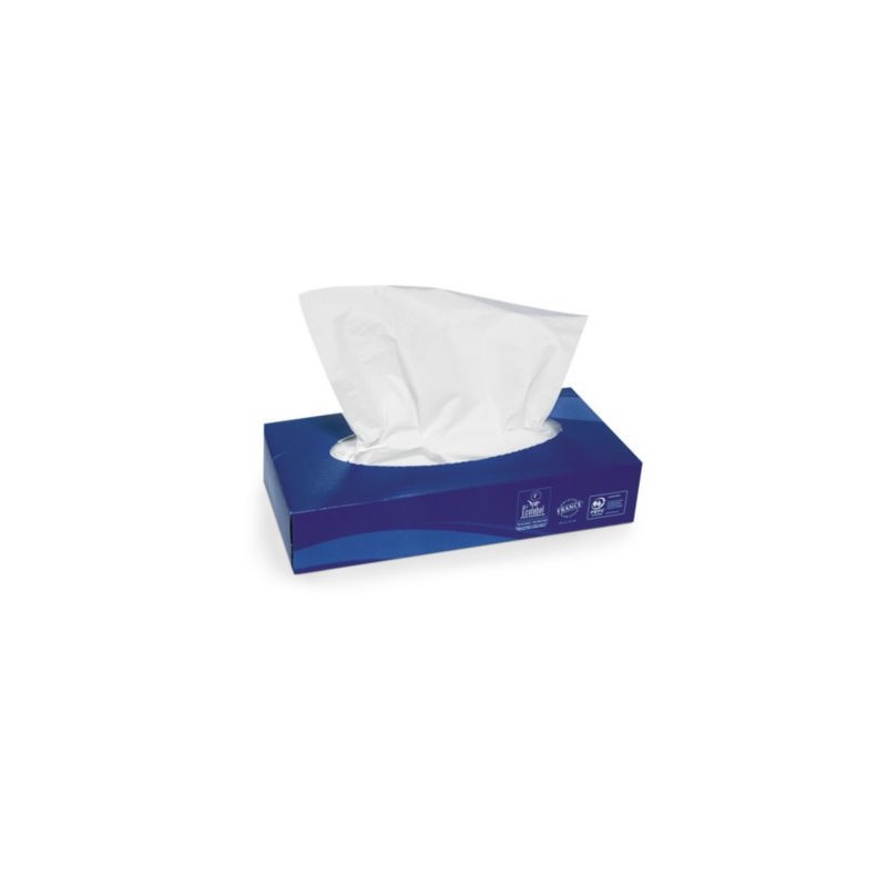 Mouchoirs en papier boîte rectangulaire - Paquet de 100 x 10
