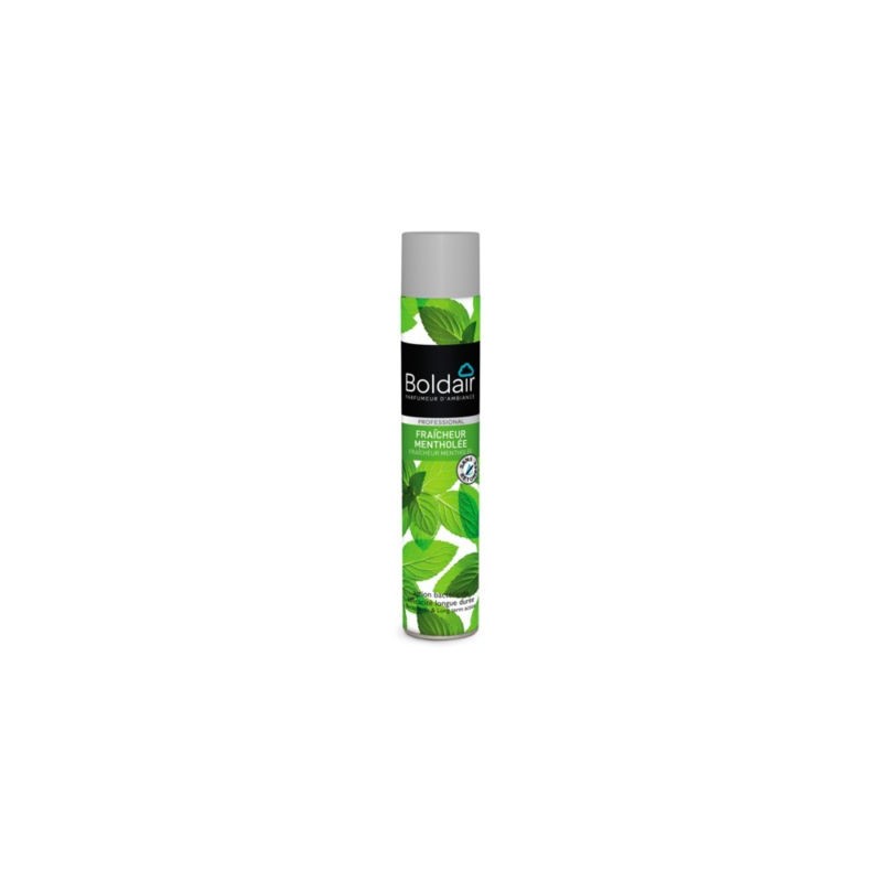 Désodorisant formule sèche BOLDAIR bactéricide menthe 500 ml - Lot de 3