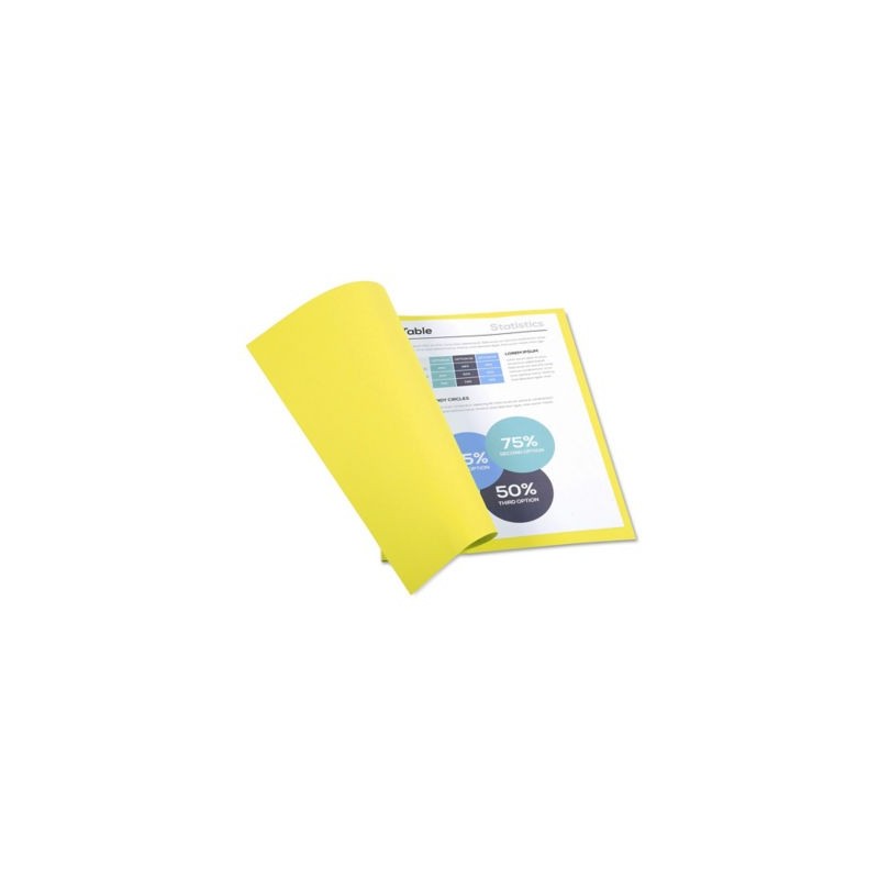 Chemise couleur pastel RAJA 24 x 32 cm jaune 220 g/m² paquet de 100 - Paquet de 100