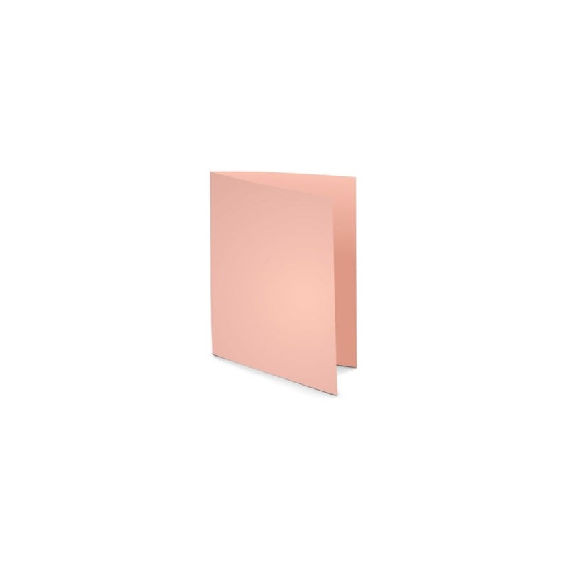 Chemise couleur pastel RAJA 24 x 32 cm rose 220 g/m² paquet de 100 - Paquet de 100