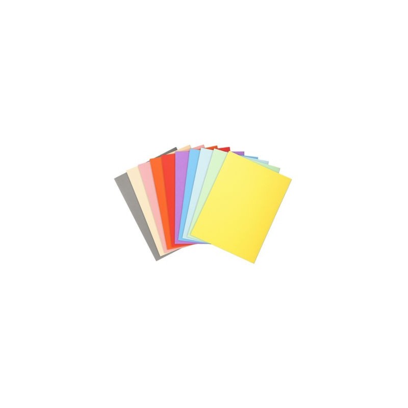 Chemise couleur pastel RAJA 24 x 32 cm couleurs assorties 160 g/m² paquet de 100 - Paquet de 100