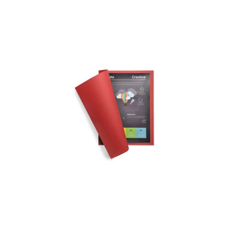 Chemise couleur vive RAJA 24 x 32 cm rouge 220 g/m² paquet de 100 - Paquet de 100