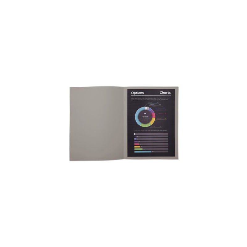 Chemise couleur vive RAJA 24 x 32 cm gris 220 g/m² paquet de 100 - Paquet de 100