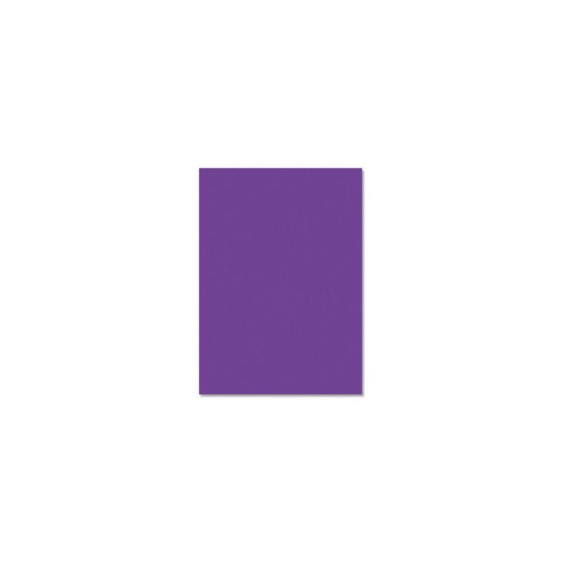 Chemise couleur vive RAJA 24 x 32 cm violet 220 g/m² paquet de 100 - Paquet de 100