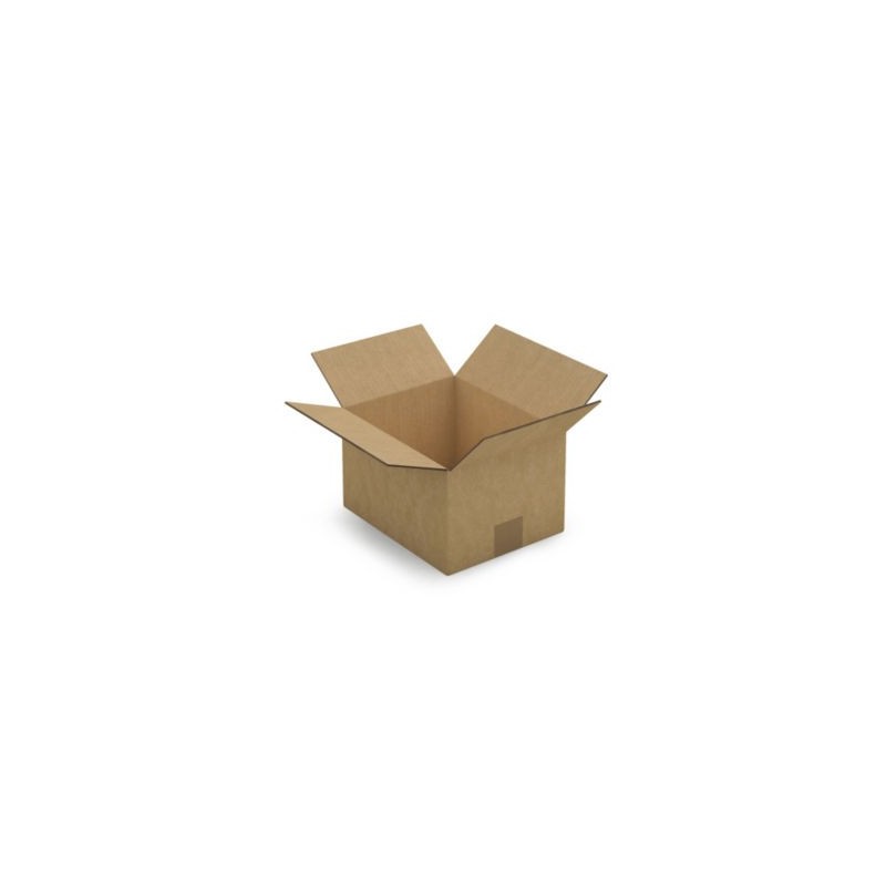 Caisse carton brune double cannelure RAJA 25x20x15 cm - Lot de 15