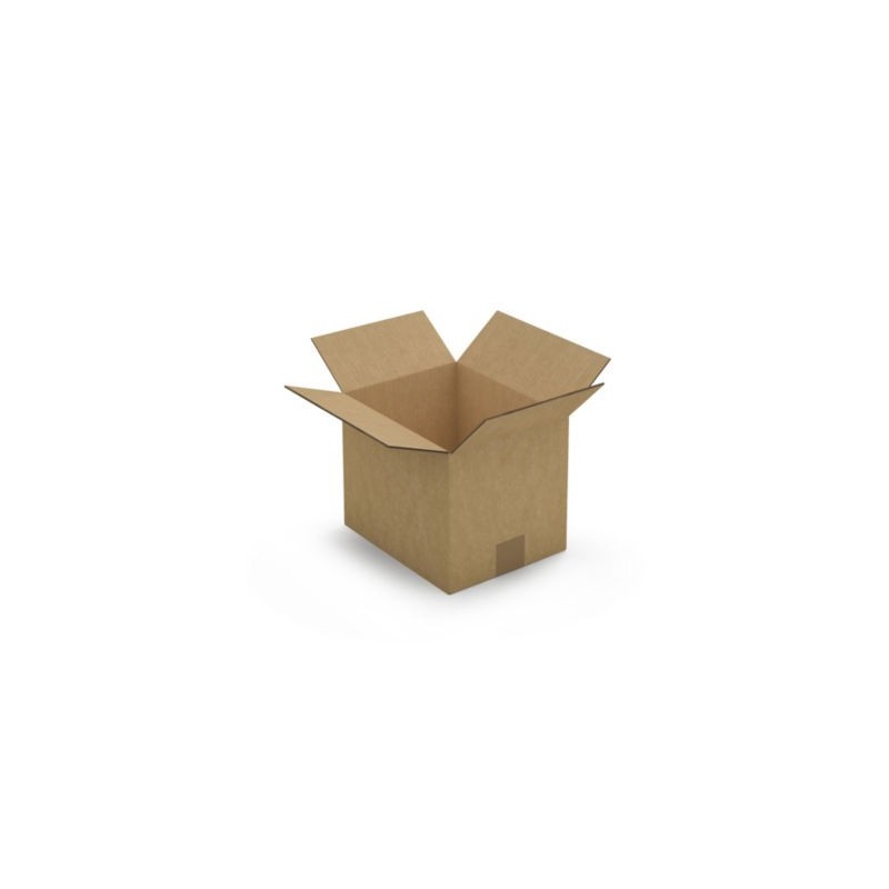 Caisse carton brune double cannelure RAJA 25x20x20 cm - Lot de 15