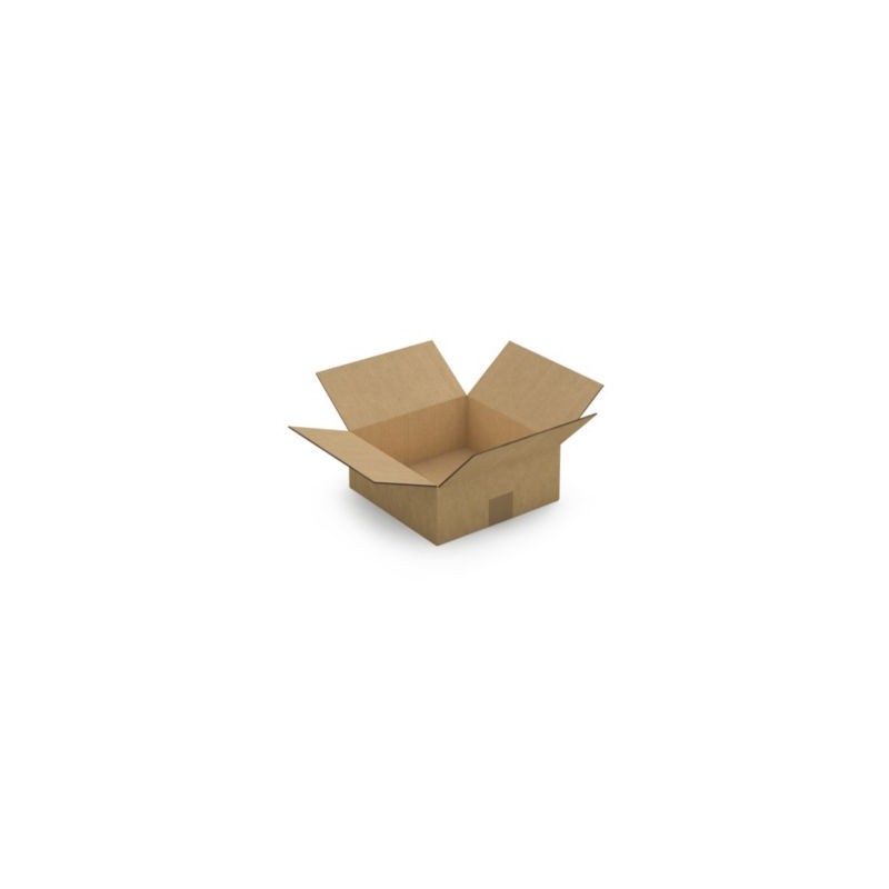 Caisse carton brune double cannelure RAJA 25x25x10 cm - Lot de 15