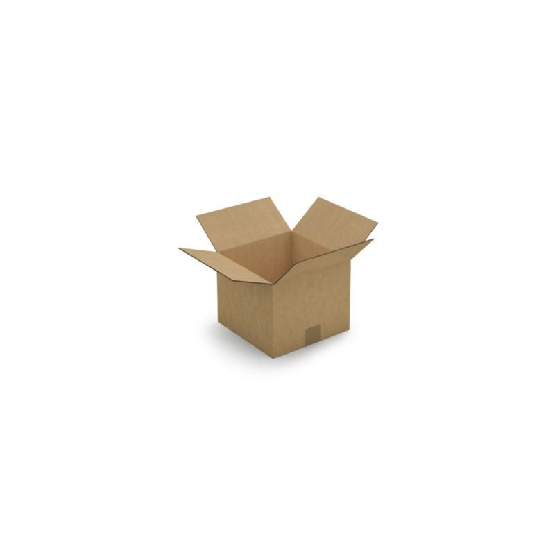 Caisse carton brune double cannelure RAJA 25x25x20 cm - Lot de 15