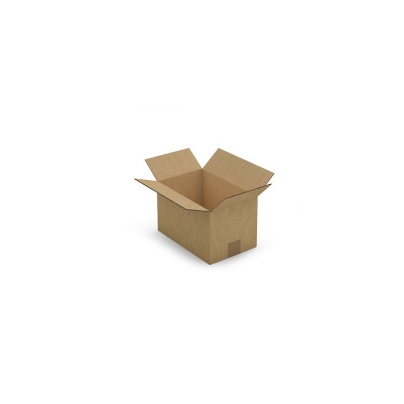 Caisse carton brune double cannelure RAJA 28x18x17 cm - Lot de 20