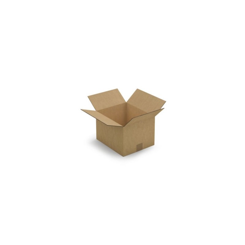 Caisse carton brune double cannelure RAJA 30x25x20 cm - Lot de 15