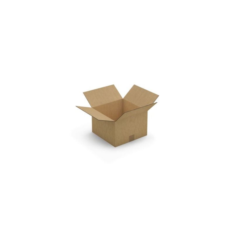 Caisse carton brune double cannelure RAJA 30x30x20 cm - Lot de 15