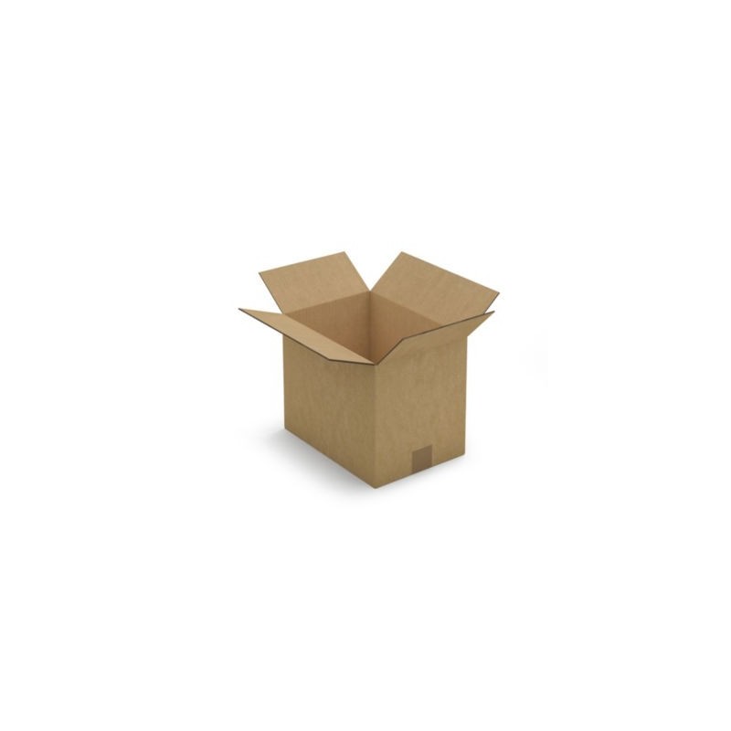 Caisse carton brune double cannelure RAJA 31x22x25 cm - Lot de 15