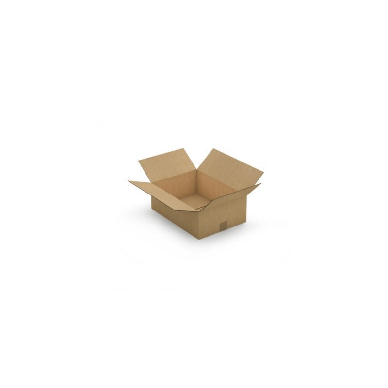 Caisse carton brune double cannelure RAJA 43x31x15 cm - Lot de 15