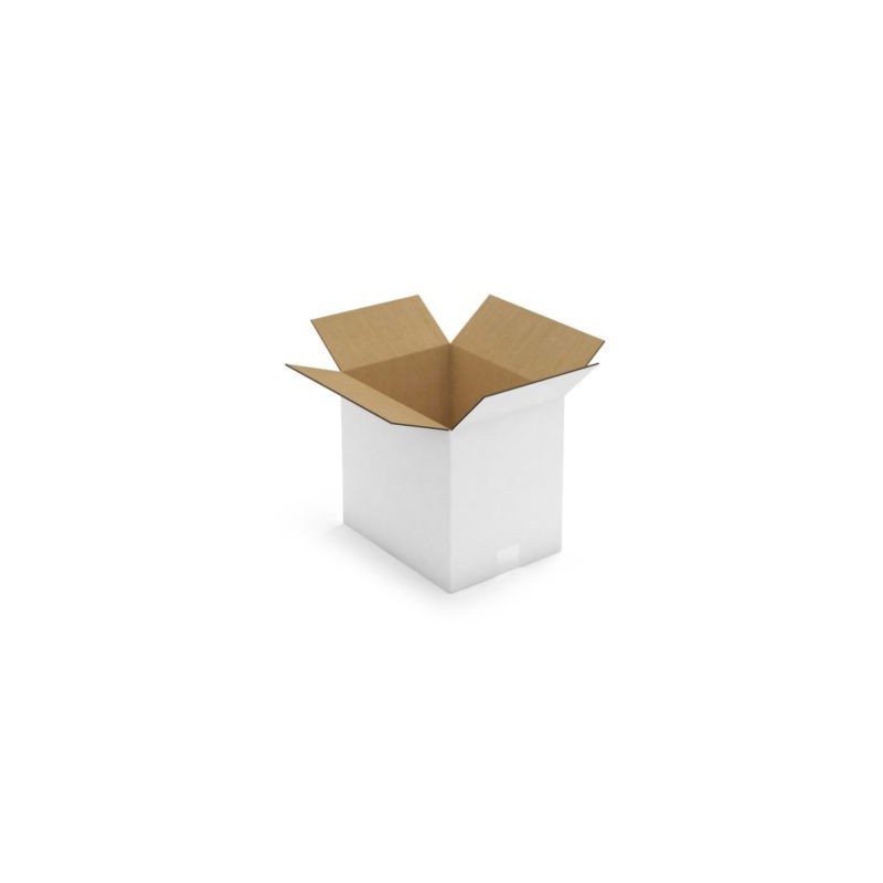 Caisse carton blanche double cannelure RAJA 33x25x30 cm - Lot de 10