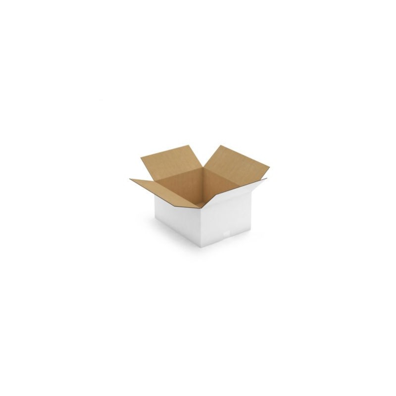 Caisse carton blanche double cannelure RAJA 48,5x38,5x25 cm - Lot de 10