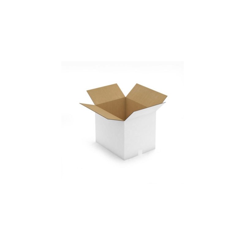 Caisse carton blanche double cannelure RAJA 48,5x38,5x40 cm - Lot de 10