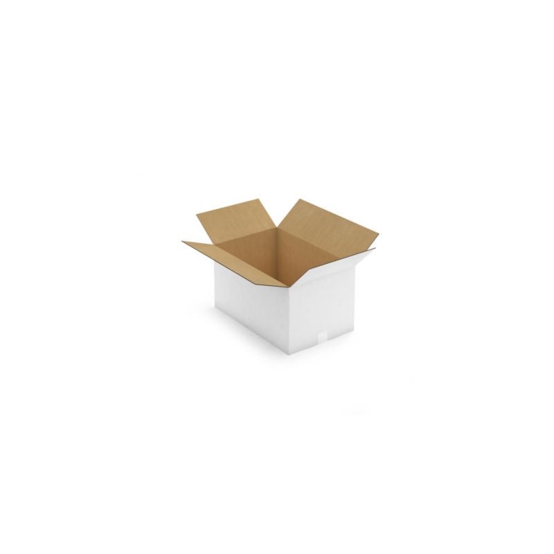 Caisse carton blanche double cannelure RAJA 55x35x30 cm - Lot de 10