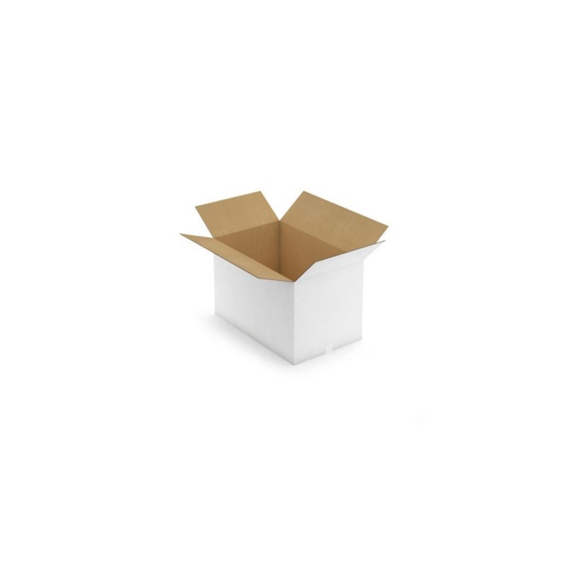 Caisse carton blanche double cannelure RAJA 80x50x50 cm - Lot de 10