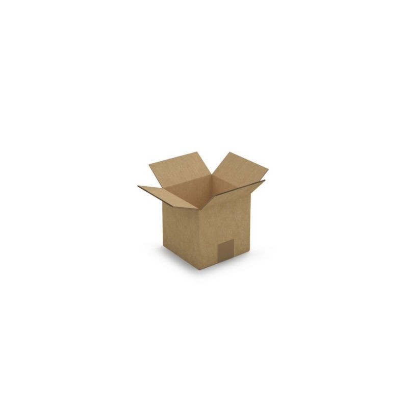 Caisse carton brune double cannelure RAJA 15x15x15 cm - Lot de 15