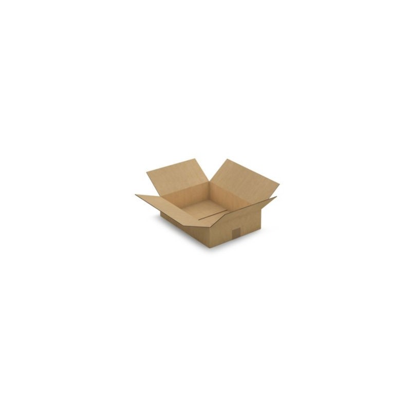 Caisse carton plate brune double cannelure RAJA 40x30x10 cm - Lot de 15