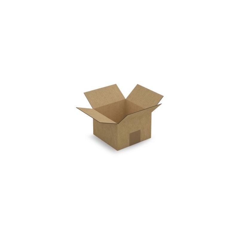 Caisse carton brune simple cannelure RAJA 15x15x10 cm - Lot de 25