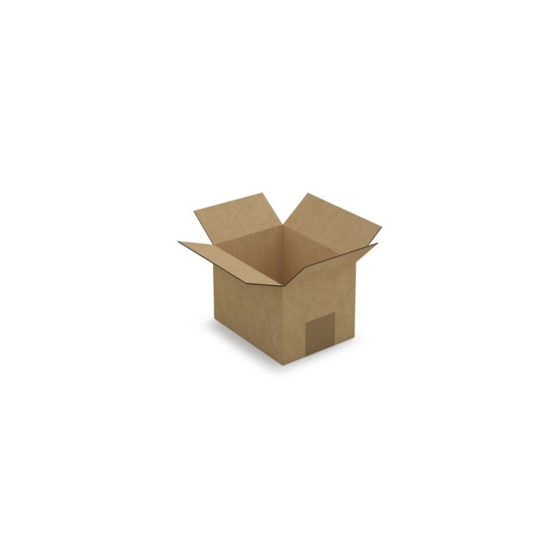 Caisse carton brune simple cannelure RAJA 16x12x11 cm - Lot de 25
