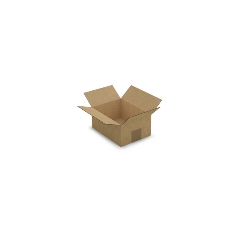 Caisse carton brune simple cannelure RAJA 20x15x9 cm - Lot de 25