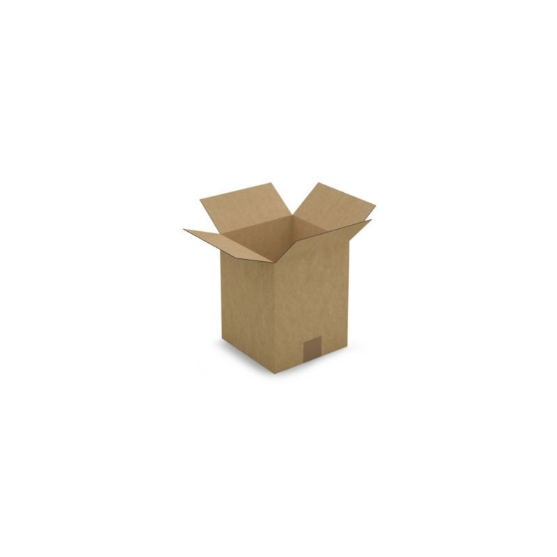 Caisse carton brune simple cannelure RAJA 20x20x25 cm - Lot de 25