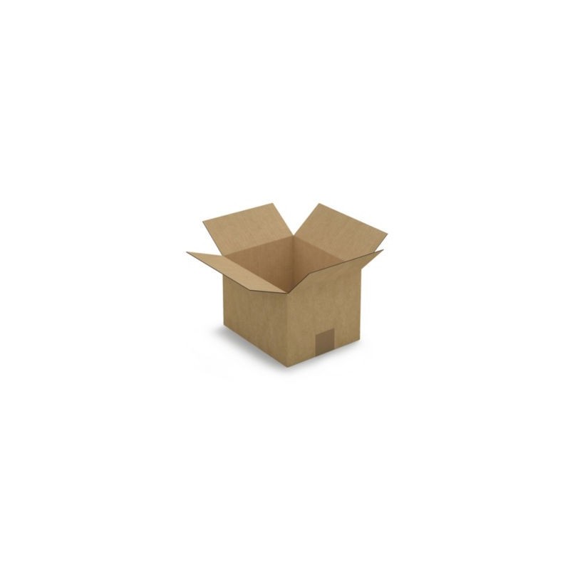Caisse carton brune simple cannelure RAJA 23x19x16 cm - Lot de 25