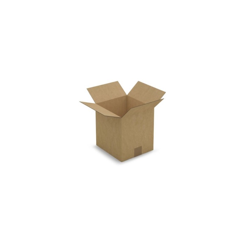Caisse carton brune simple cannelure RAJA 23x21x24 cm - Lot de 25