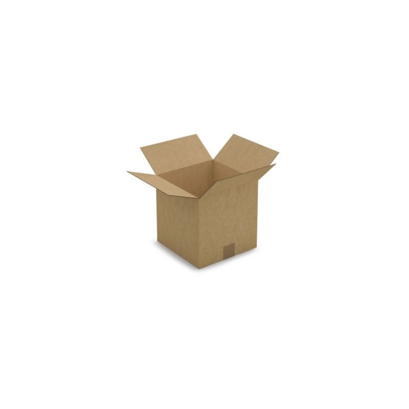 Caisse carton brune simple cannelure RAJA 25x25x25 cm - Lot de 25