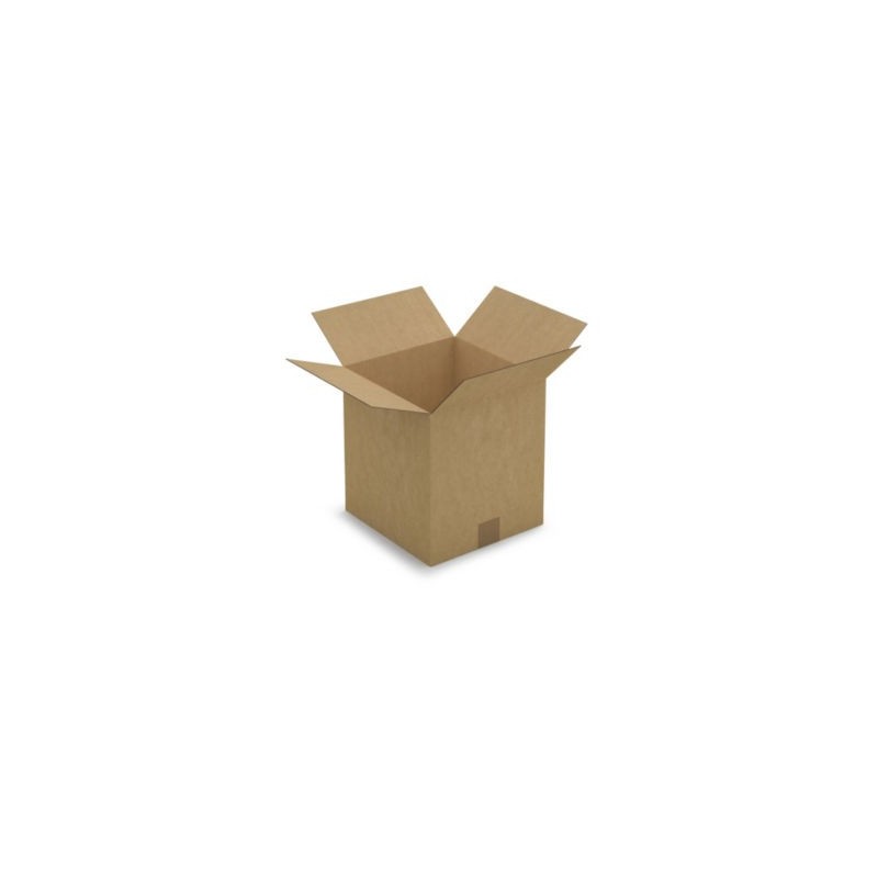 Caisse carton brune simple cannelure RAJA 27x26x29 cm - Lot de 25
