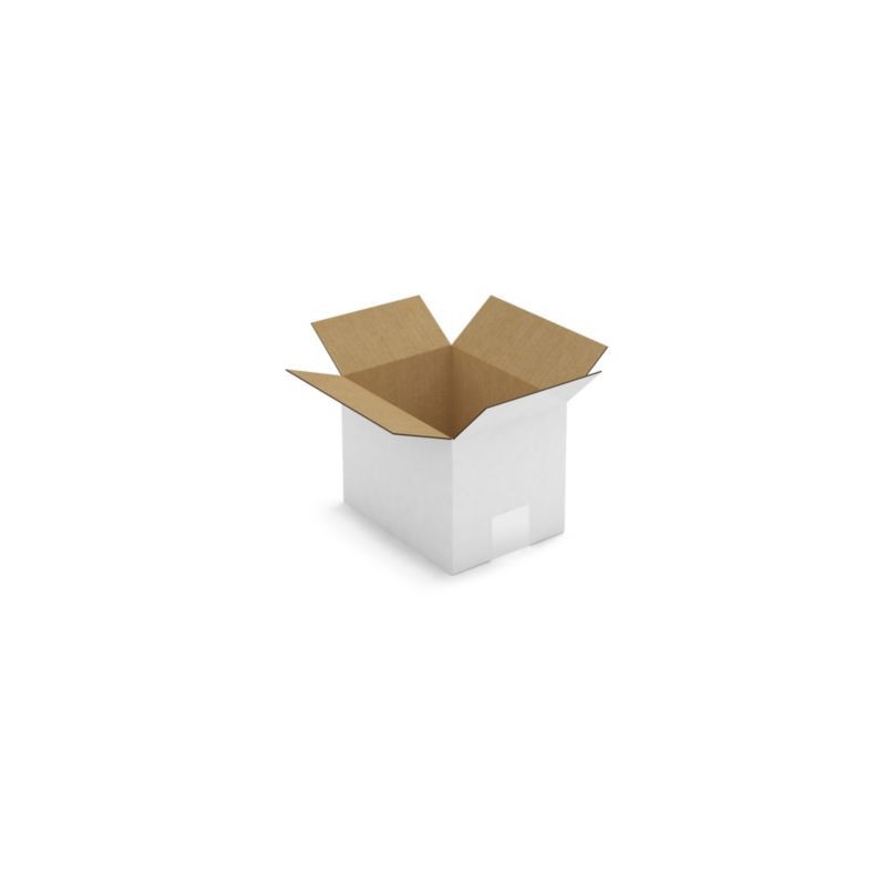 Caisse carton blanche simple cannelure RAJA 20x15x15 cm - Lot de 25