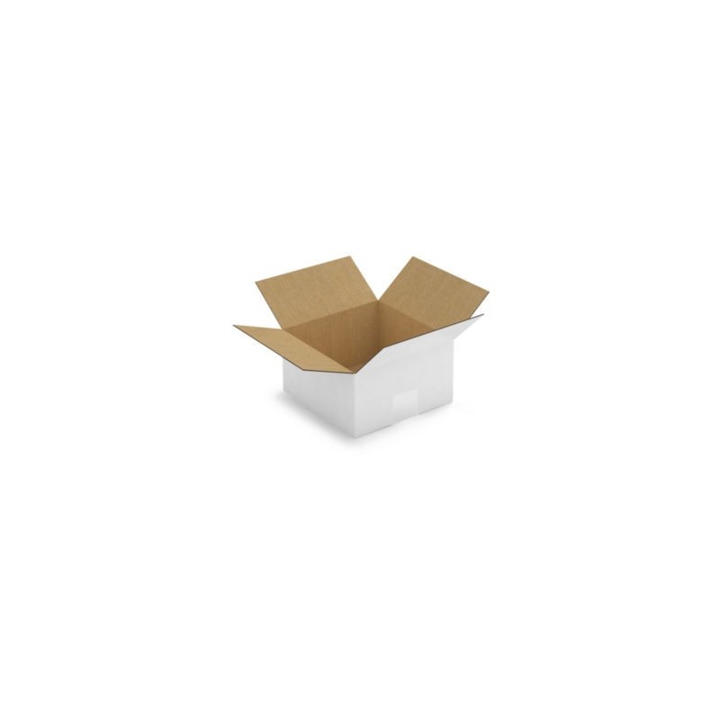 Caisse carton blanche simple cannelure RAJA 20x20x11 cm - Lot de 25