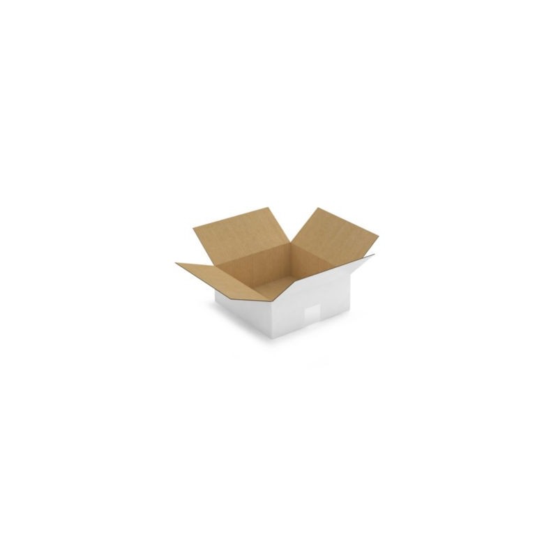 Caisse carton blanche simple cannelure RAJA 25x25x10 cm - Lot de 25
