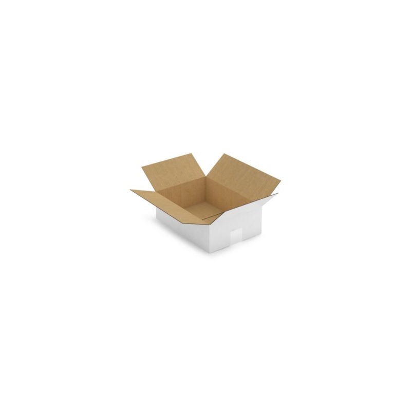 Caisse carton blanche simple cannelure RAJA 31x22x10 cm - Lot de 25