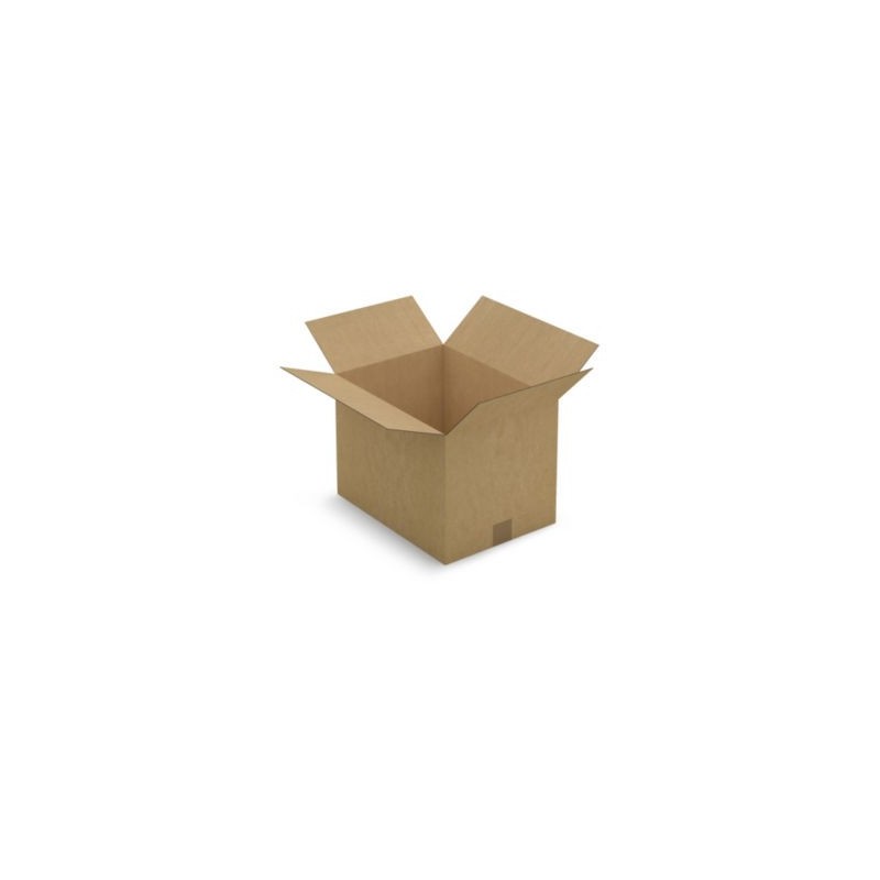Caisse carton brune simple cannelure RAJA 39x29x28 cm - Lot de 20