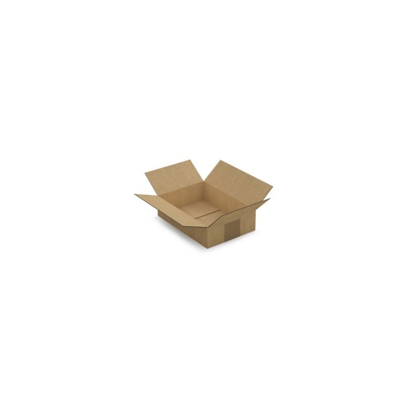 Caisse carton brune simple cannelure RAJA 24x18x8 cm - Lot de 25