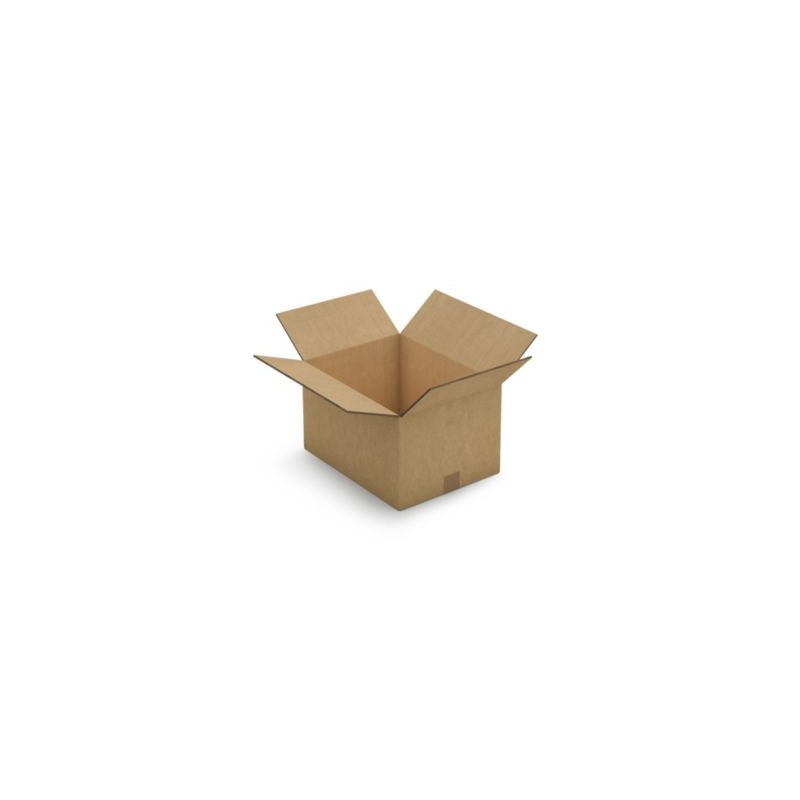 Caisse carton brune triple cannelure RAJA 41x31x24 cm - Lot de 10