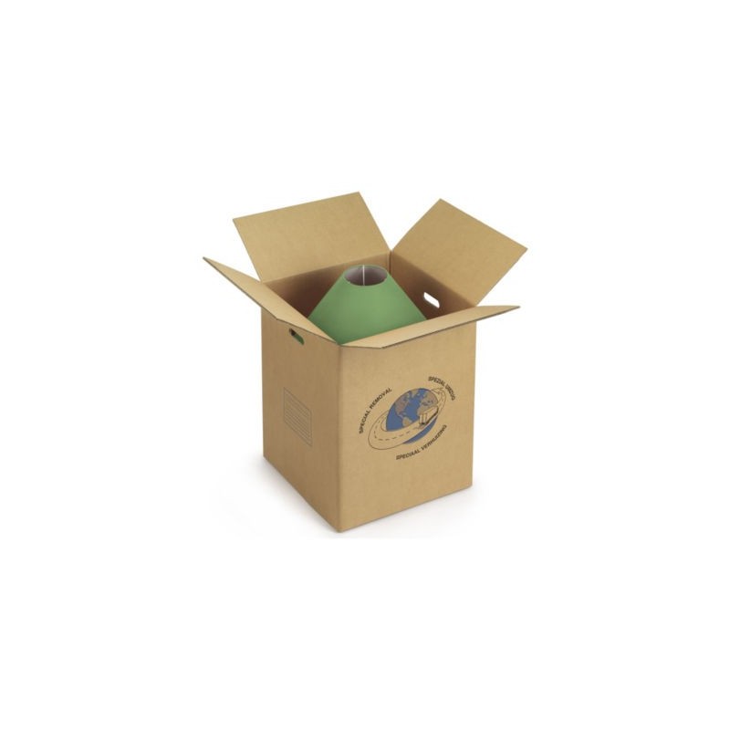 Caisse carton de déménagement double cannelure avec poignées RAJA 55x46,5x61 cm - Lot de 10