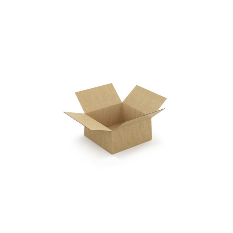 Caisse carton brune simple cannelure à montage instantané RAJA 20x20x10 cm - Lot de 20