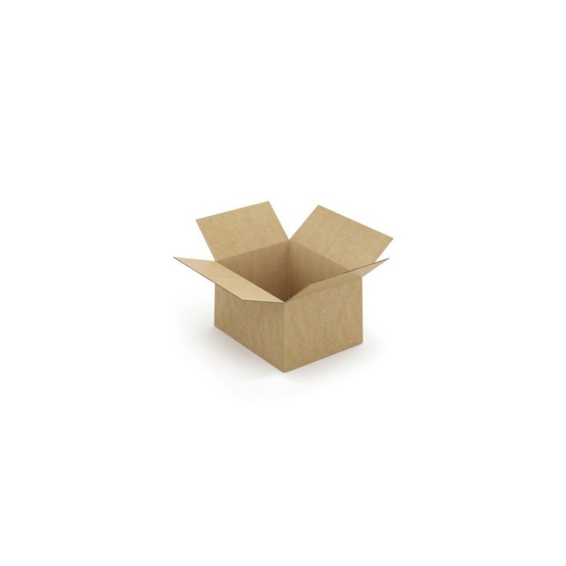 Caisse carton brune simple cannelure à montage instantané RAJA 25x20x15 cm - Lot de 20
