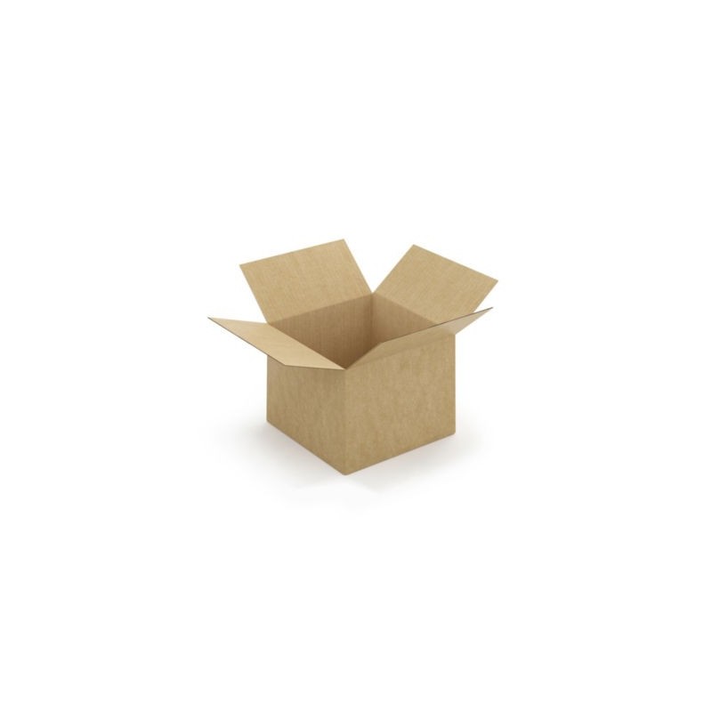 Caisse carton brune simple cannelure à montage instantané RAJA 25x25x20 cm - Lot de 20