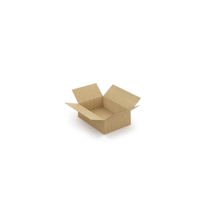 Caisse carton brune simple cannelure à montage instantané RAJA 31x22x10 cm - Lot de 20