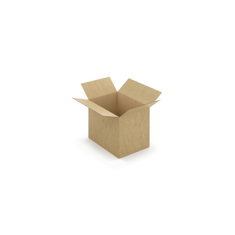 Caisse carton brune simple cannelure à montage instantané RAJA 31x22x25 cm - Lot de 20