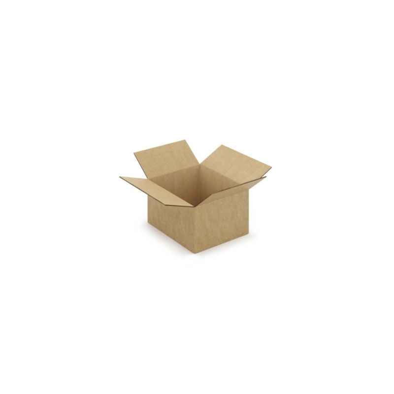 Caisse carton brune double cannelure à montage instantané RAJA 25x20x15 cm - Lot de 20